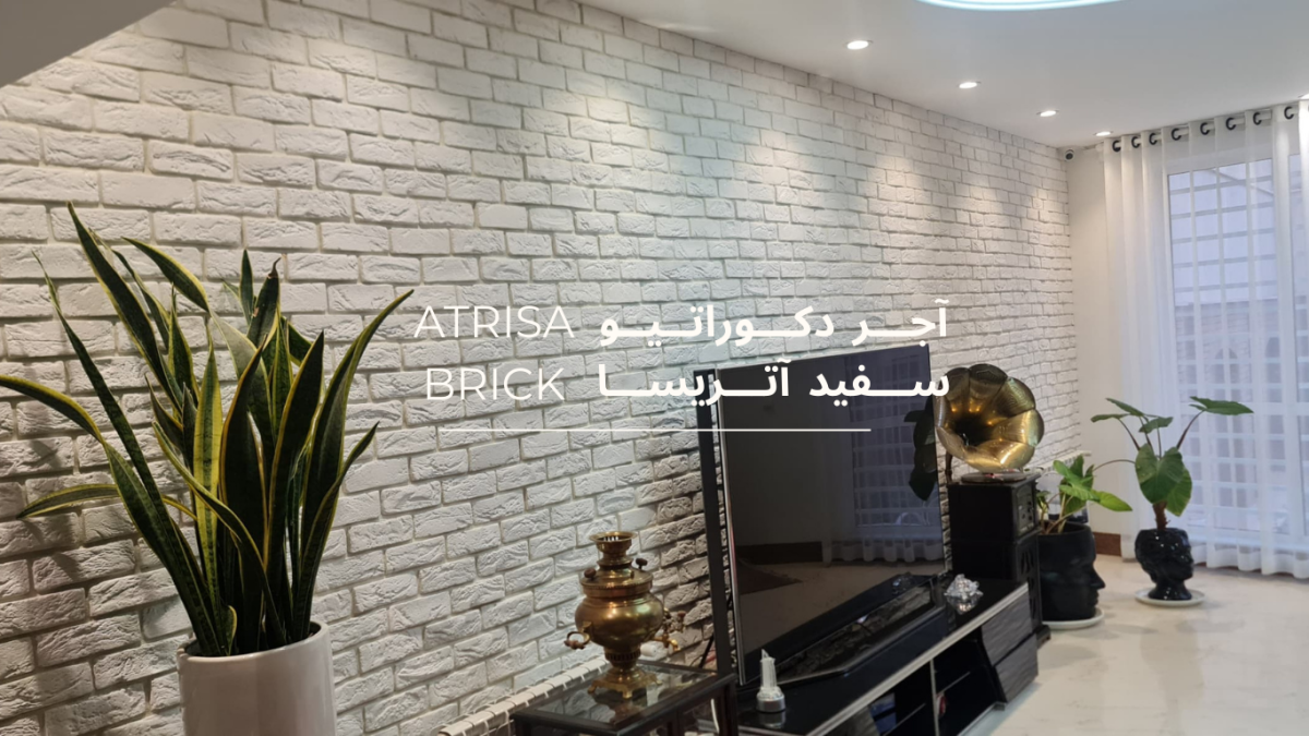 دیوار اتاق نشیمن با آجر سفید و گیاهان دکوری