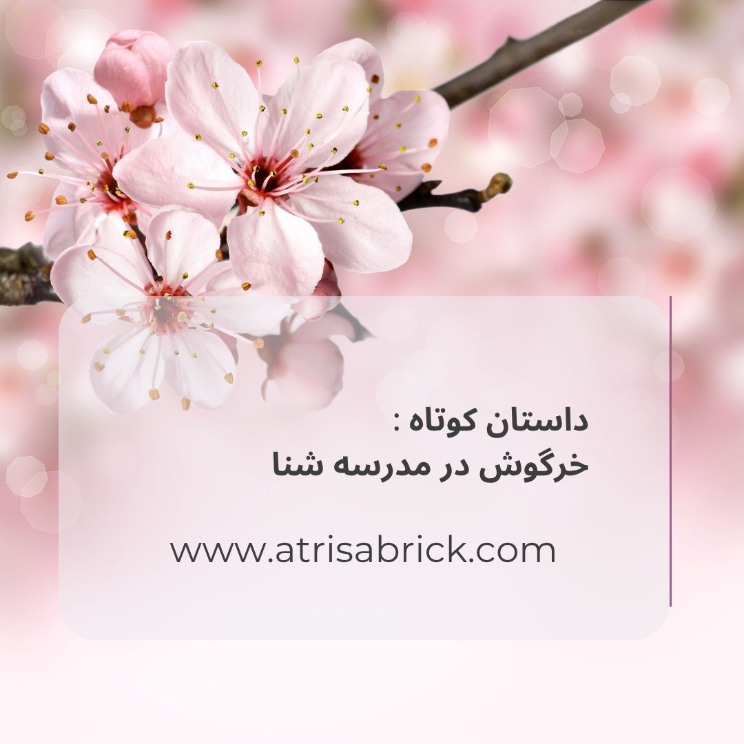 خرگوش در مدرسه شنا